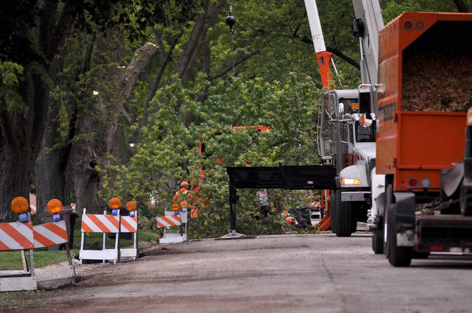 Tree Service trimming branches over road and using wood chipper